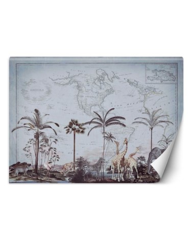 Stylowe fototapety - Stara mapa i sawanna Andrea Haase | FEEBY