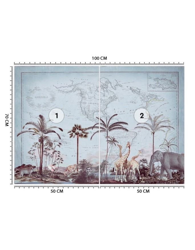 Stylowe fototapety - Stara mapa i sawanna Andrea Haase | FEEBY