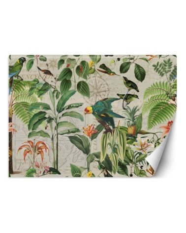 Exotic Wallpapers - Green birds in the tropics Andrea Haase | FEEBY