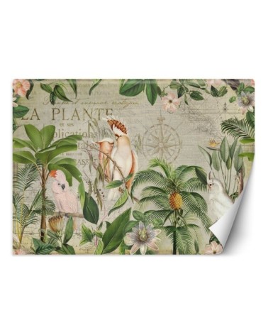 Most fashionable Wallpapers - Four parrots and an old map Andrea Haase | FEEBY