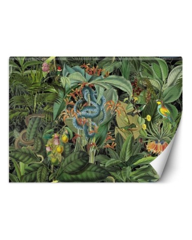 Modern Wallpapers - Snake and dark tropics Andrea Haase | FEEBY