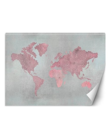 Original wall murals - Pink map of the continents Andrea Haase | FEEBY