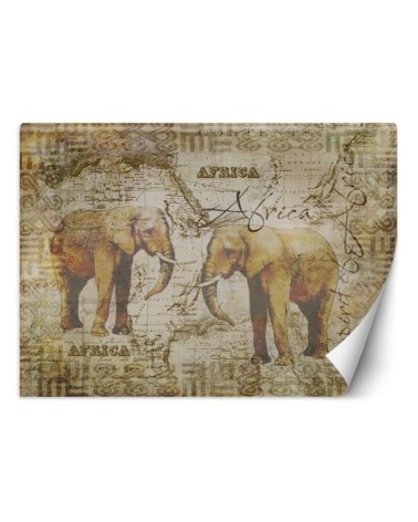 Unique wall murals - Old map and vintage elephants Andrea Haase | FEEBY