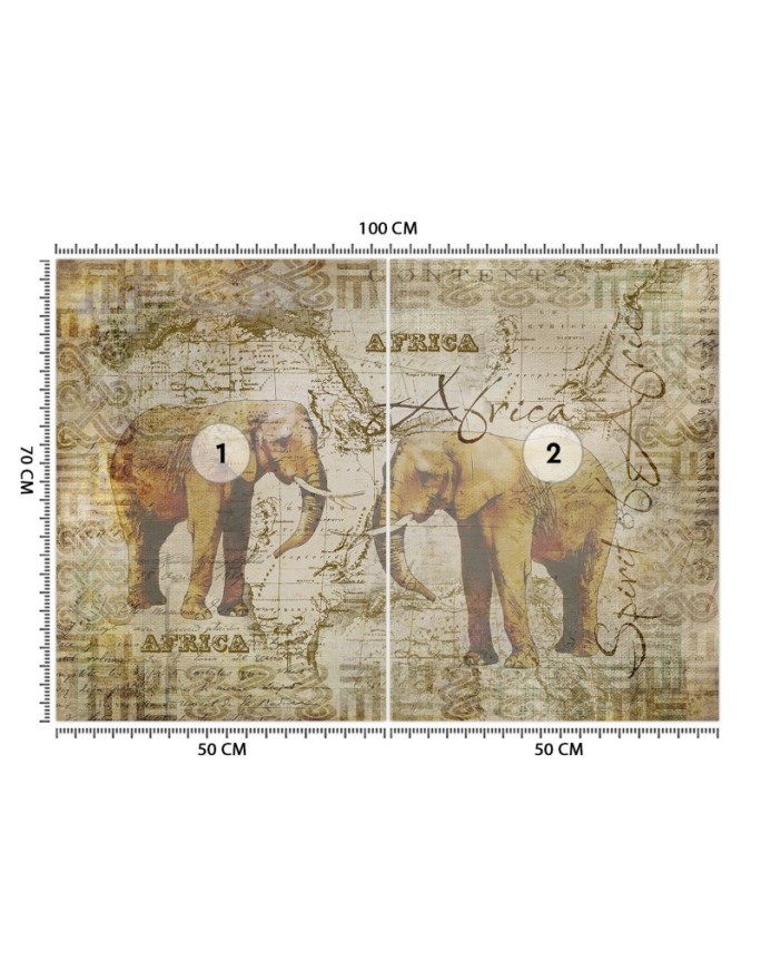 Wyjątkowe fototapety - Stara mapa i słonie vintage Andrea Haase | FEEBY
