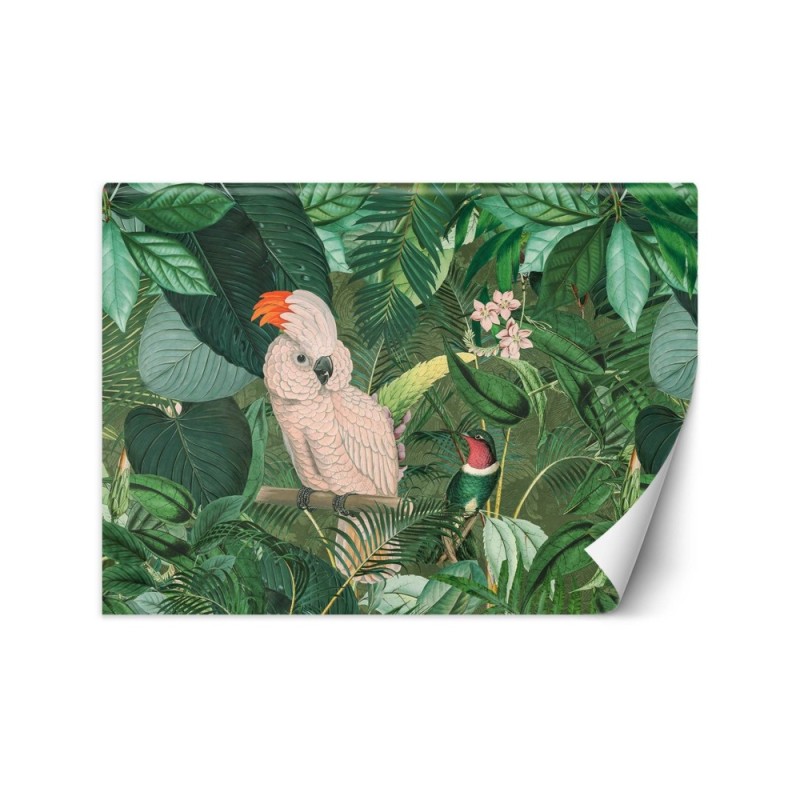 Inspirational wall murals - Parrots in the tropics Andrea Haase | FEEBY