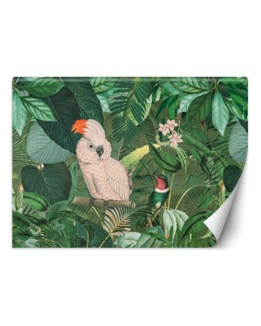 Inspirational wall murals - Parrots in the tropics Andrea Haase | FEEBY