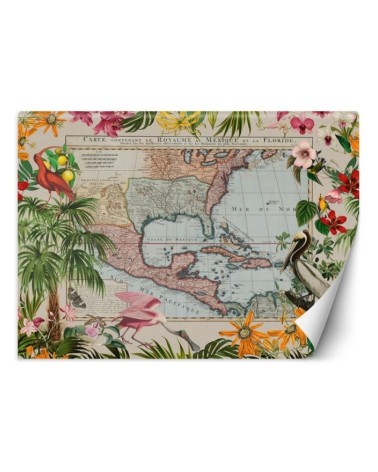 Wall mural - Colour map palm trees birds Andrea Haase | FEEBY