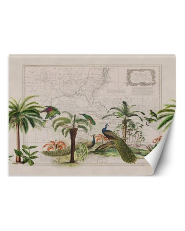 Exotic wall mural - African peacocks Andrea Haase | FEEBY