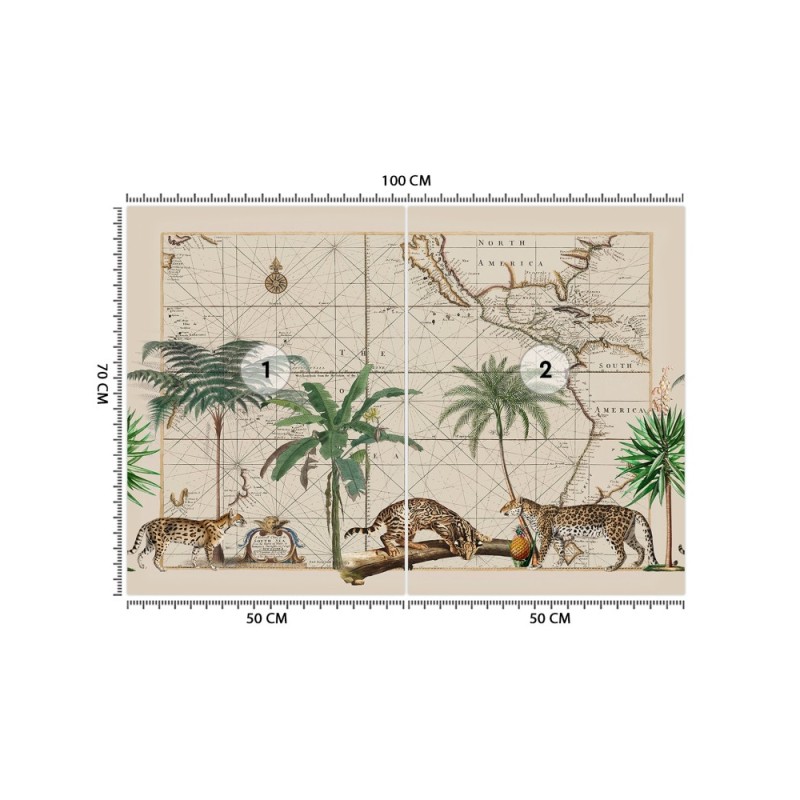 Fototapeta na ścianę - Drapieżne koty Andrea Haase | FEEBY