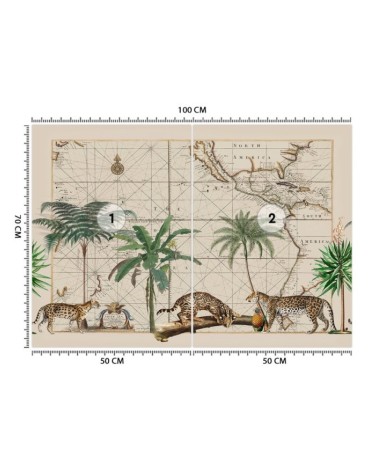 Fototapeta na ścianę - Drapieżne koty Andrea Haase | FEEBY