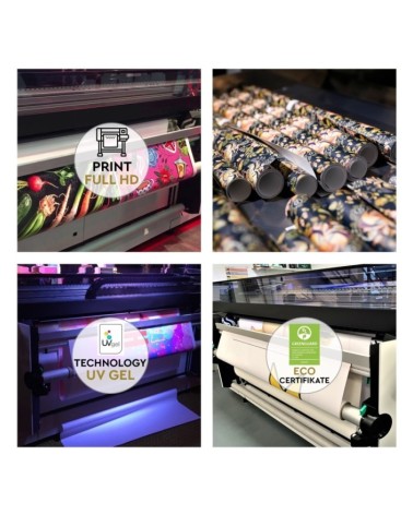 Fototapeta na ścianę - Drapieżne koty Andrea Haase | FEEBY