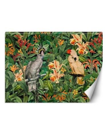 Wall mural - Large parrots in the green tropics Andrea Haase | FEEBY