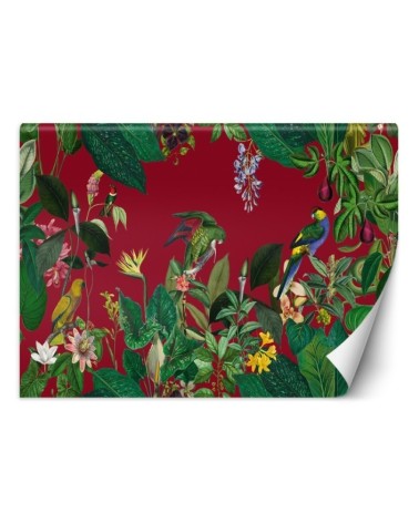 Beautiful Wallpapers - Red tropics Andrea Haase | FEEBY