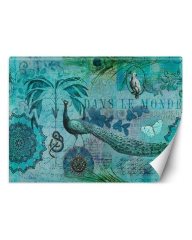 Original Wallpapers - Turquoise old postcard Andrea Haase | FEEBY