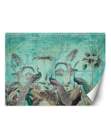 Exclusive Wallpapers - Turquoise peacocks in leaves Andrea Haase | FEEBY