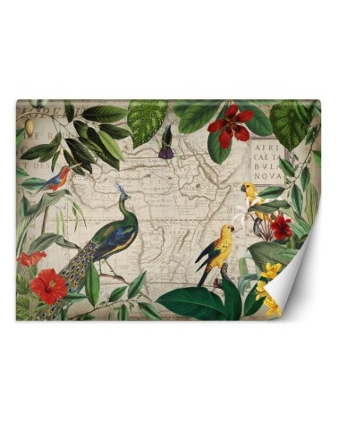 Exotic Wallpapers - Wild tropical birds Andrea Haase | FEEBY