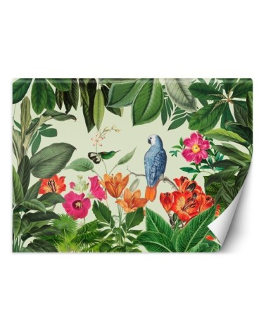Exclusive Wallpapers - Secret of the wild garden Andrea Haase | FEEBY