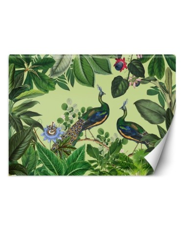 Original Wallpapers - Peacocks in a tropical park Andrea Haase | FEEBY
