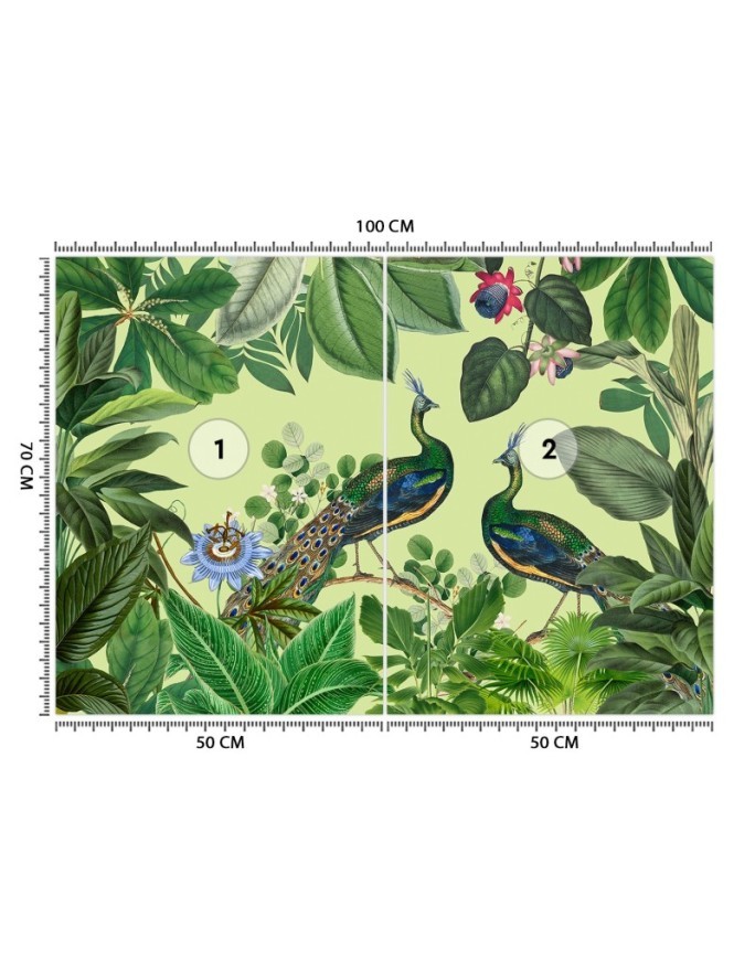 Oryginalne fototapety - Pawie w tropikalnym parku Andrea Haase | FEEBY