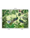 Oryginalne fototapety - Pawie w tropikalnym parku Andrea Haase | FEEBY