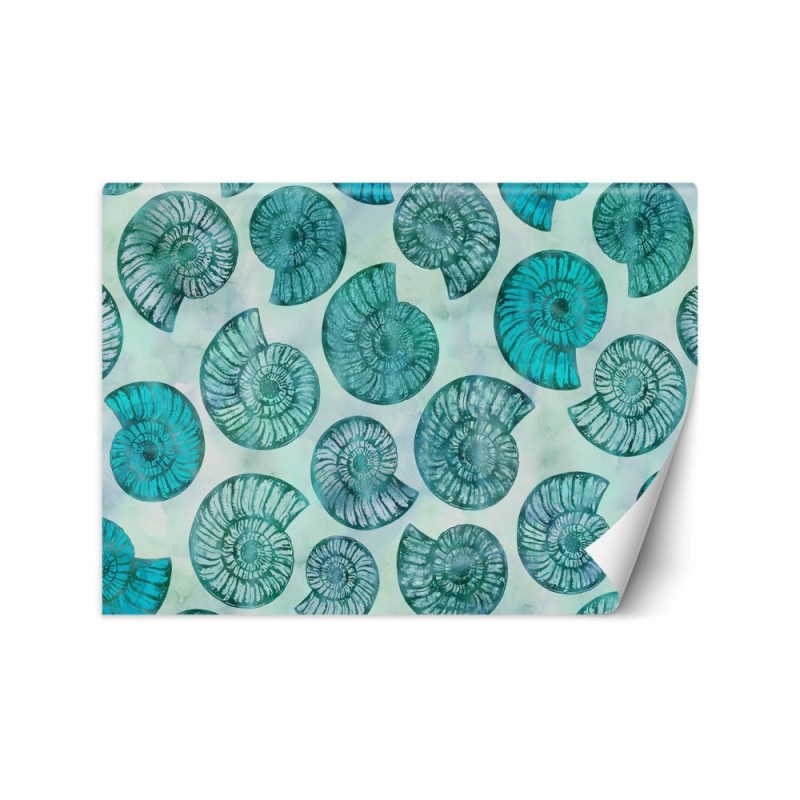 Designerskie fototapety - Niebieskie muszelki Andrea Haase | FEEBY