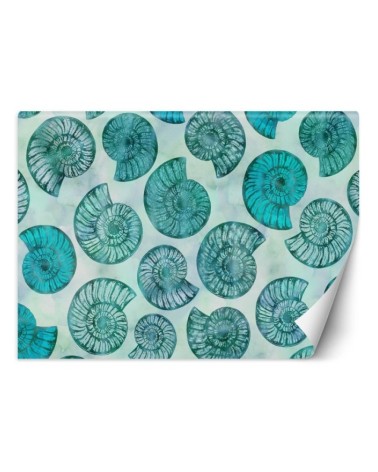 Designer wall mural - Blue seashells Andrea Haase | FEEBY