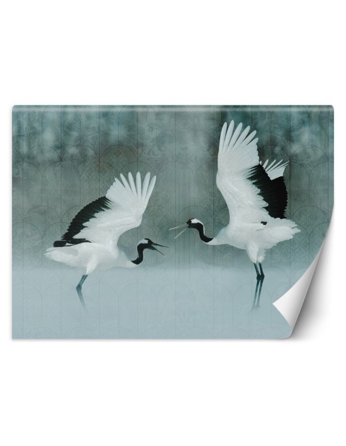 Piękne fototapety - Żurawie ptaki | FEEBY