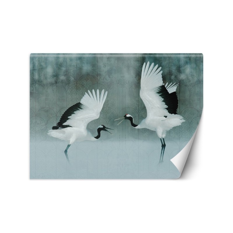 Piękne fototapety - Żurawie ptaki | FEEBY