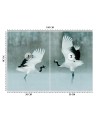 Piękne fototapety - Żurawie ptaki | FEEBY