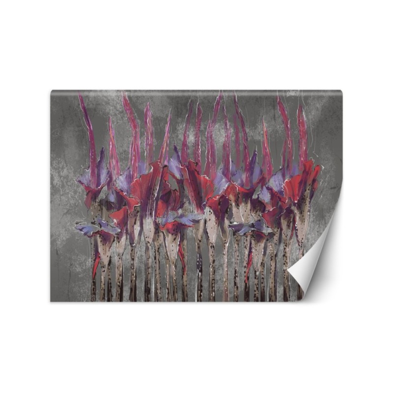 Inspirujace fototapety - Rośliny kwiaty czewrwone | FEEBY