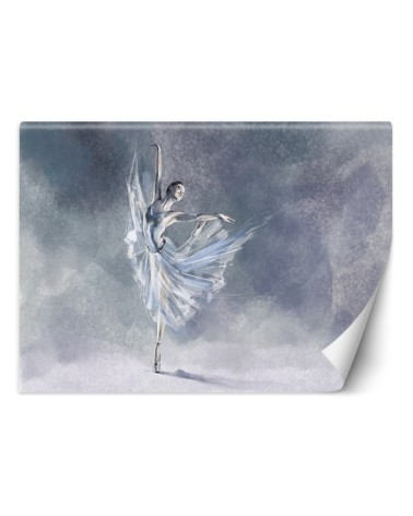 Inspirational Wallpapers - Ballerina pirouette | FEEBY