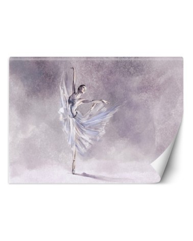 Stylish Wallpapers - ballerina dance | FEEBY