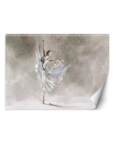 Fleece Wallpapers for the living room - ballerina dance | FEEBY
