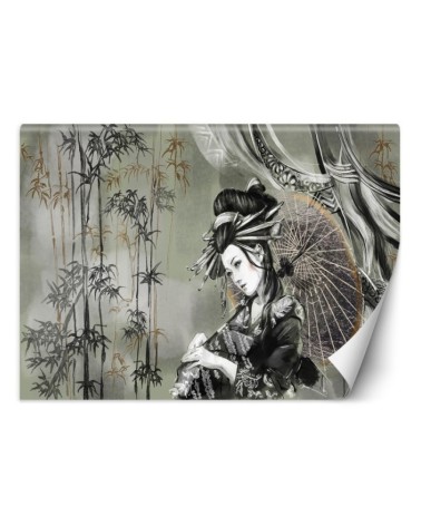 Modern Wallpapers - Geisha and bamboo | FEEBY