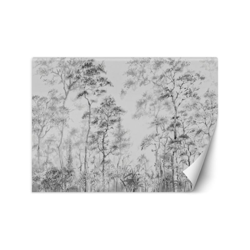 Nowoczesne fototapety - Drzewa natura szary | FEEBY