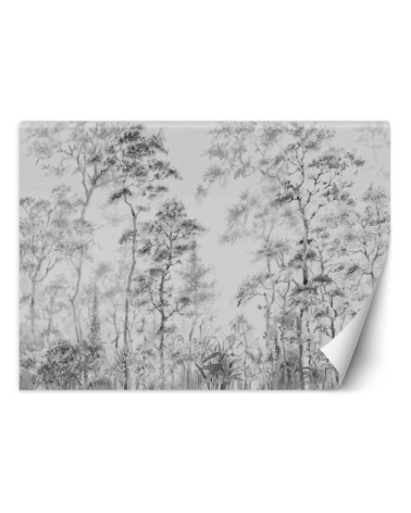 Modern Wallpapers - Trees nature grey | FEEBY