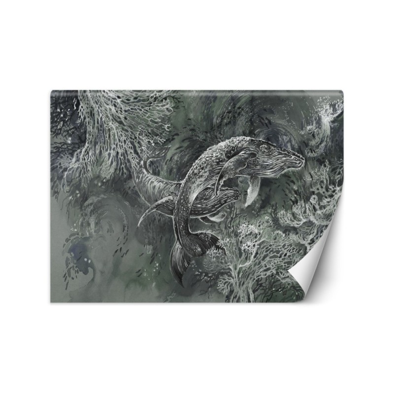Oryginalne fototapety - Para wielorybów humbaków | FEEBY