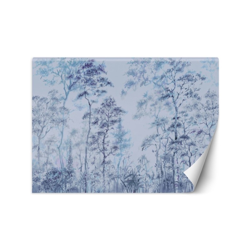 Ekskluzywne fototapety - Wysokie drzewa natura | FEEBY