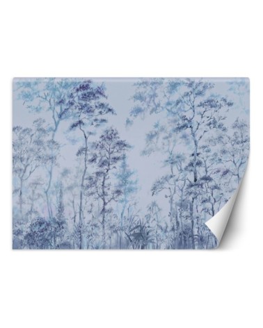 Exclusive Wallpapers - Tall trees nature | FEEBY