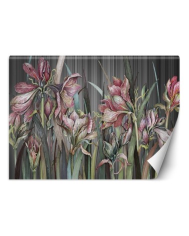 Unique Wallpapers - Irises flowers | FEEBY