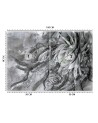 Ekskluzywne fototapety na ścianę - Kwiaty abstrakcja | FEEBY
