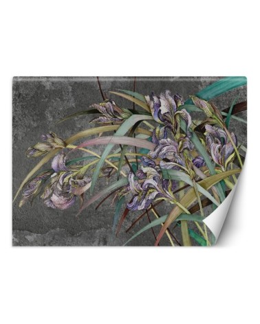 Original Wallpapers - Irises flowers in the wind | FEEBY