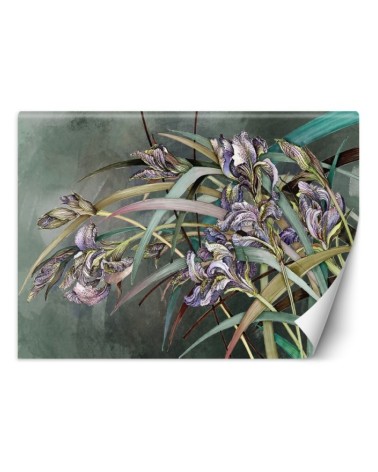 Original Wallpapers - Irises flowers in the wind | FEEBY