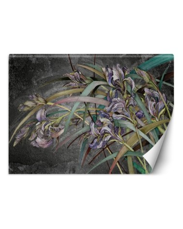 Original Wallpapers - Irises flowers in the wind | FEEBY