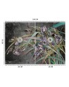 Oryginalne fototapety na ścianę - Kwiaty Irysy na wietrze | FEEBY