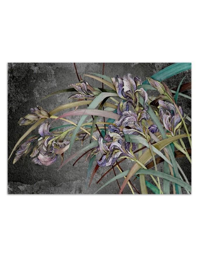 Original Wallpapers - Irises flowers in the wind | FEEBY