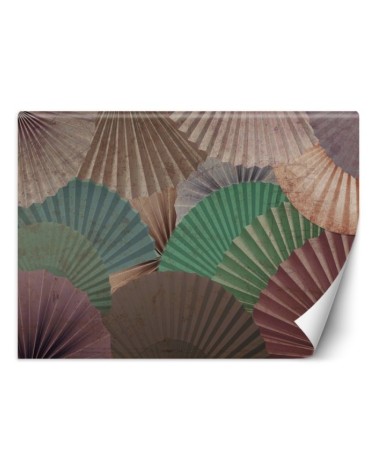 Stylish Wallpapers - Colourful fans | FEEBY