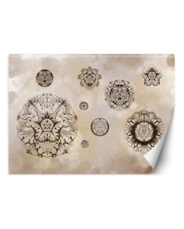 Original Wallpapers - Geometric flower shapes | FEEBY