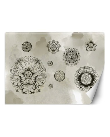 Original wall murals - Shapes geometric flowers | FEEBY
