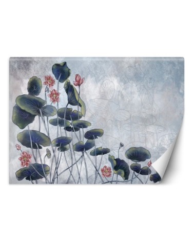 Exclusive wall murals - Water lily | FEEBY